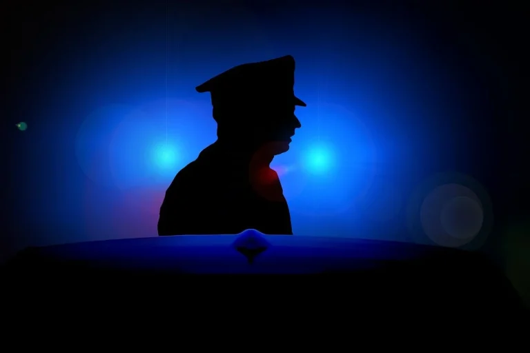 ce inseamna agent 2 politie