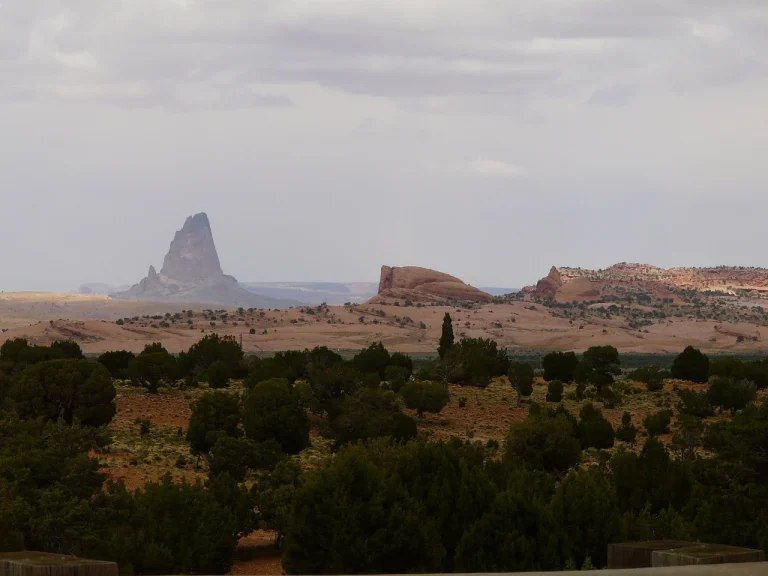 ce inseamna redeventa