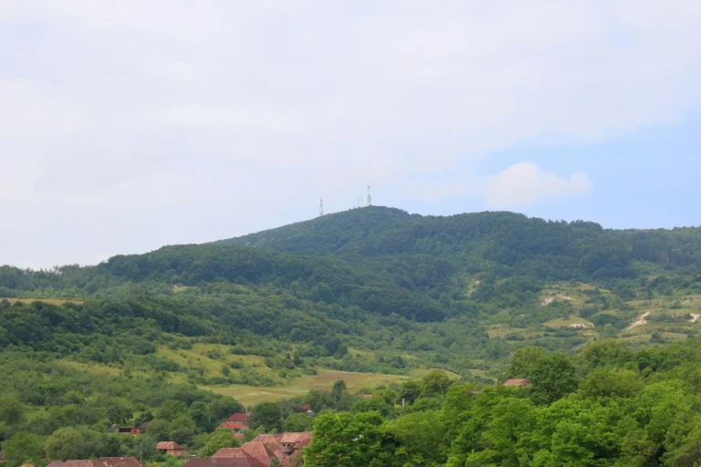 Ce inseamna POT si CUT A herd of sheep grazing on a lush green hillside