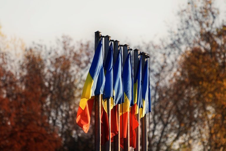 insemne militare armata romana
