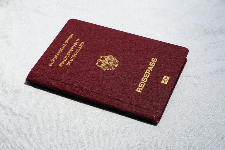 ce inseamna pasaport simplu temporar