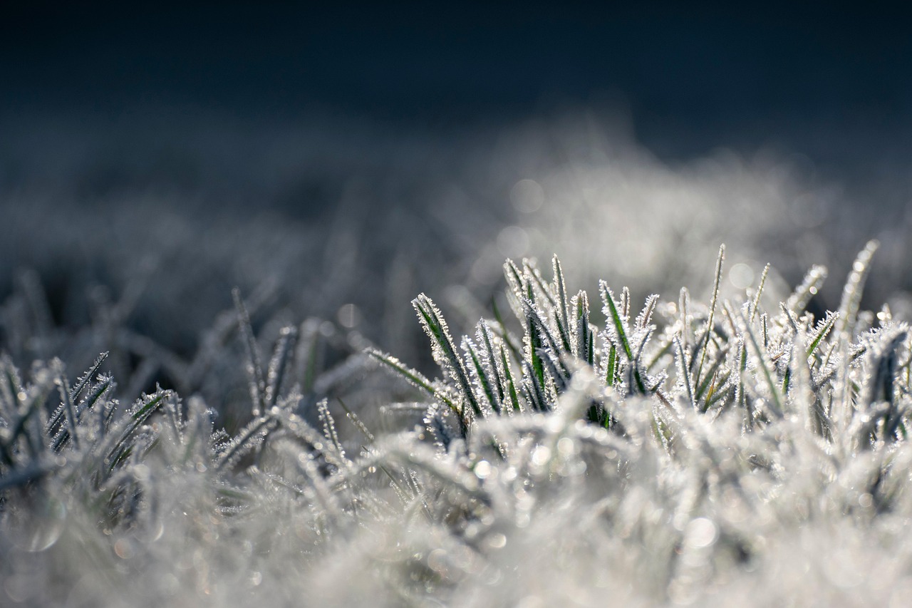 ce inseamna no frost