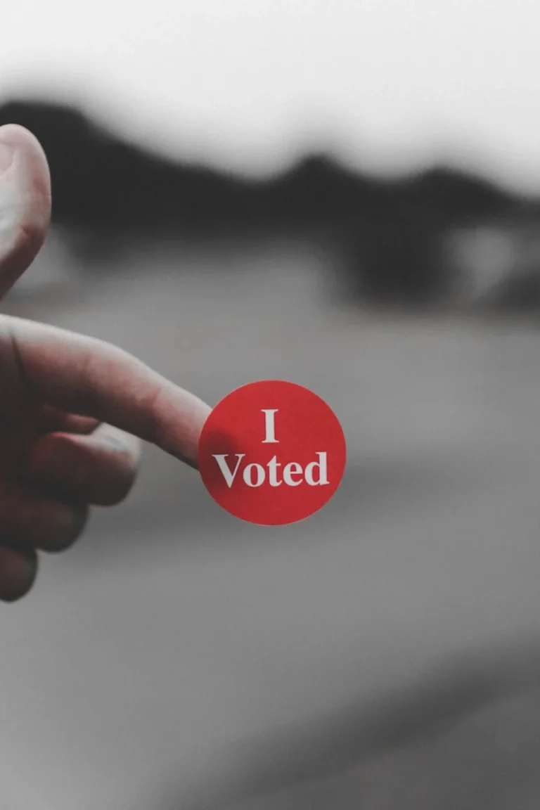 Ce inseamna PNL a hand holding a red button that says i vote
